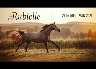  Rubielle 24 06 2014 28 02 2020