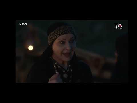 ثعالب الصحراء الحقلة 12