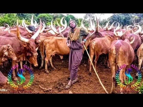 EMA JELI UJUMBE WA NZIKU 0686343510 Msambazaji Jileka Mapanda TV 2026