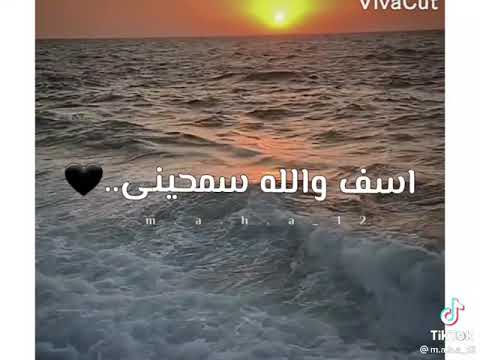 رغم البعد وحشتيني