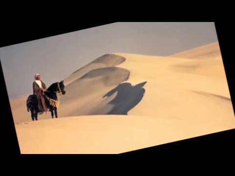 بيان فارس شديت القفل