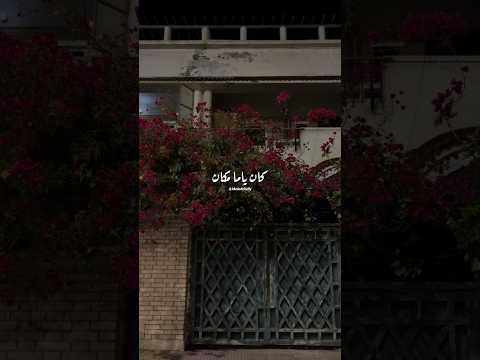 كان ياما كان الحب مالي بيتنا خالد الصيفي مياده الحناوي كان ياما كان زمن الطيبين حالات واتس