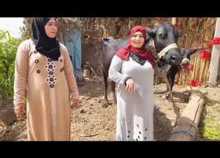  يوميات في الباديه مع ام عبده من الريف رقم 3
