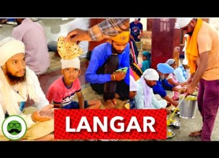 Golden Temple Langar Veggie Paaji Shorts
