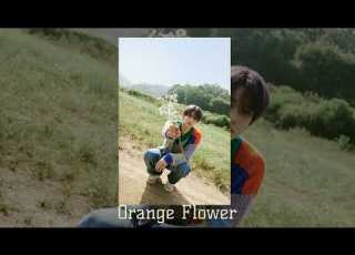  ENHYPEN Orange Flower You Complete Me Slowed