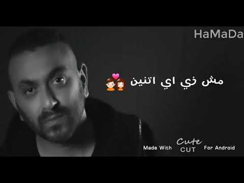 احنا اتنين مش زي اي اتنين حالات واتس اشتركوا بالقناه يا احلي شله