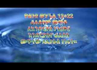 ለኢየሱስ ነገሩት በመጋቤ ሐዲስ ቀሲስ አበበ ለመምራችን ቃለህወት ያሰማልን