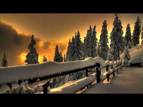 أحمد العبيد سورة غافر