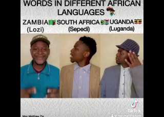 WORDS IN DIFFERENT AFRICAN LANGUAGES NEW EPISODE Lozi VS Sepedi Vs Luganda