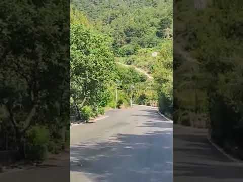 حالات واتس اب هاني شاكر