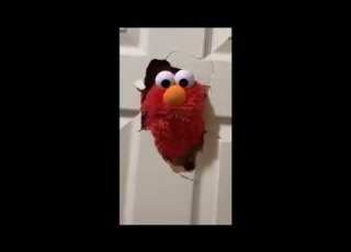  Elmo Smashes Through Door