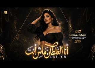 Remix انا الغلطان ماش انت Ana Al Ghaltan NEW 2026