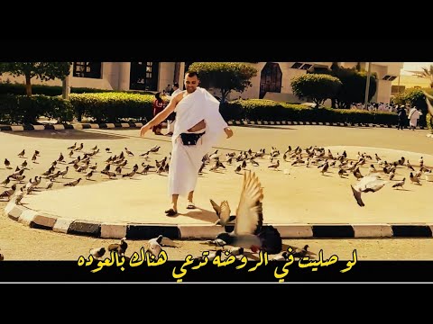 انشوده رحله جميله انسو الدنيا بحالها وانتو عند النبي احمد عادل