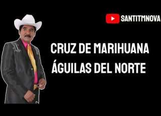 Cruz De Marihuana Águilas Del Norte SantiTMNova