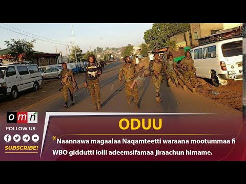 Naannawa Magaalaa Naqamteetti Waraana Mootummaa Fi WBO Giddutti Lolli Adeemsifamaa Jiraachun Himame