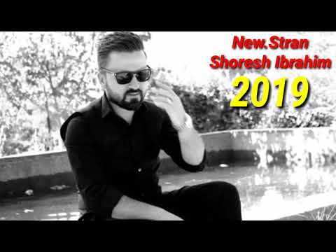 شوره ش ابراهیم گه ر ئه س مرم لغه ریبیا خوش ترین ستران Shoresh Ibrahim شوره ش ابراهیم گه ر ئه س مرم لغه ریبیا خوش ترین ستران Shoresh Ibrahim