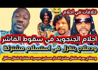 ودملاح يتغزل و يدعو استسلام المشتركة في الفاشر و ميسرة بوب يختلف مع ودملاح أحلام الجنججويد في سقوط