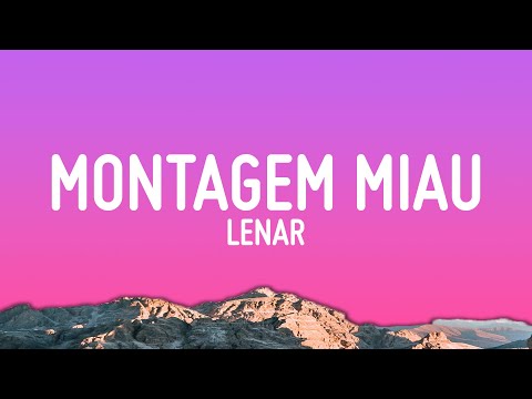 Montagem Miau Letra Lyrics