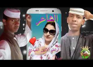 الشاعر ابراهيم الامين النفيدي