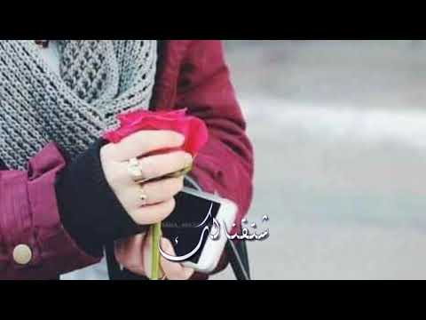 ياطيبة يا طيبة حالات واتس اب دينيه لاتنسو الاشتراك بل قناة