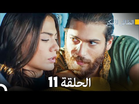 مسلسل الطائر المبكر الحلقة 11 Arabic Dubbed FULL HD