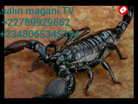 Bakin Sirri Na Samun Dukiya Da Manyan Kudi Mujarrabun