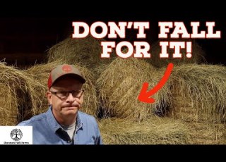 1 Farming SCAM You MUST Cut Hay