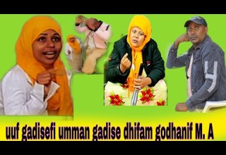 Uuf M A Namitichaf Dhifama Godhanif Jaari Laachu November 26 2025