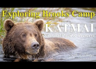 Besuch Der Brooks Falls Im September Katmai Nationalpark