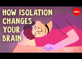 What Happens To Your Brain Without Any Social Contact Terry Kupers
