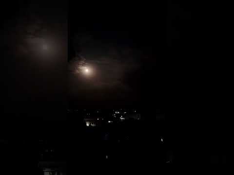 أغنية الشامي الجديدة دوالي أنا وردة بس وردة نرجس اسمي كافي يخليني عجرف Tik TakT Music 1