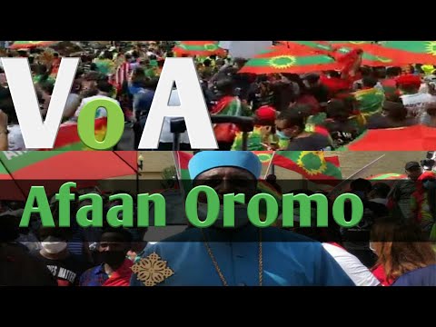 Oduu Jajjaboo Biyya Alaa Fi Biyya Voa Afaan Oromo Omn Jul 23 20200