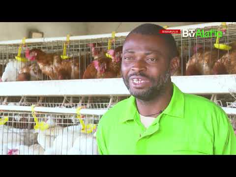 Informations En Langue Nationale Fulfulde Du 03 Mars 2026