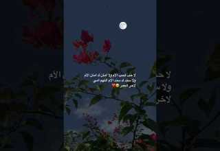 اجمل ما قيل عن الأم Like Explore ترند Ar R8 تصاميم اكسبلور ستوريات امي اقتباس