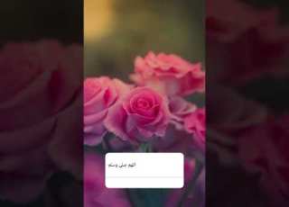 السلام عليك ماهر الزين ستوريات انستا