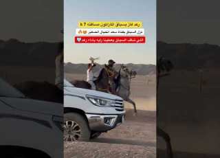  رعد وحصانه الفيصل ابلور خيل سعد الخيال الصغير الخيل حصان عواد
