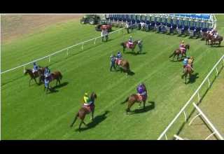R5 Mornington Ellerslie Race AND FEW OTHER RACES 01 JAN 2025