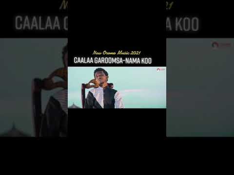 Seenaa Tube Sirba Haara Caalaa Gaaromsaa Video Isaa Qabanne Dhihannerra Subscribe Gochun Dawwadha