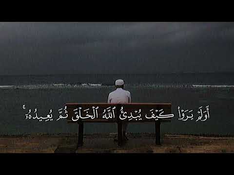 القارئ عبدالرحمن مسعد تلاوة سورة العنكبوت تلاوة تريح السمع والقلب