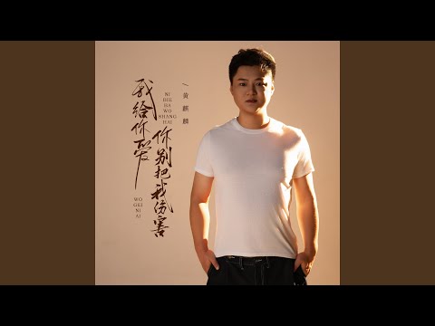 我给你爱你别把我伤害 Dj阿尼版