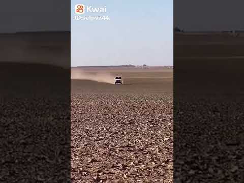 الشاص ملك الصحراء