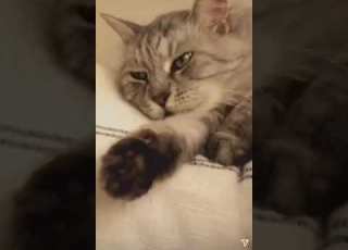 ميرتش أرال بطلة مسلسل العهد
