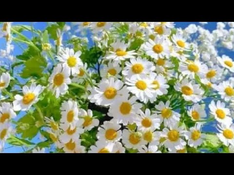 الفنان وعثمان حسين كل لحظة