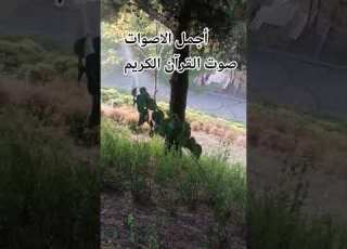 قران كريم بصوت جميل للشيخ اسلام صبحي المصحف راحة نفسية المصحف راحة نفسية تصويري الرحمن