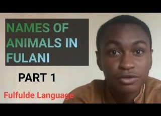  NAMES OF ANIMALS IN FULFULDE LANGUAGE PART 1