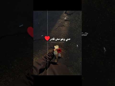 اغاني للاب بدون موسيقي ادم نبيل حالات واتس Reel فولو بدون موسيقى حالات واتس تصميمي لايك Trend