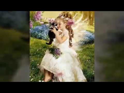 اجمل ما قيل عن الشمس قصيدة بردة الشمس The Most Beautiful Thing Was Said Adout The Sun