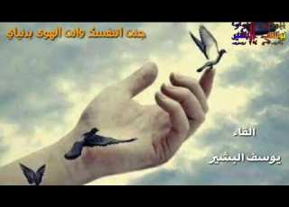 اجمل اغاني عن الحبيب الخائن