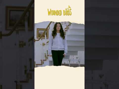 المشهد الذي دمرنا جميعا Woundedbirdsarabic الطيورالمجروحة Shorts