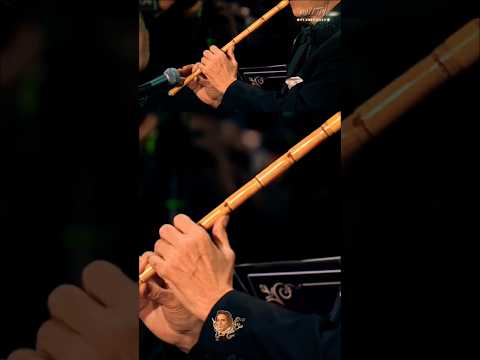 سيد سالم يخرج عن النوته من جديد اغنية بعيد عنك روائع بليغ حمدي Sayed Salem Goes Off The Sheet Again